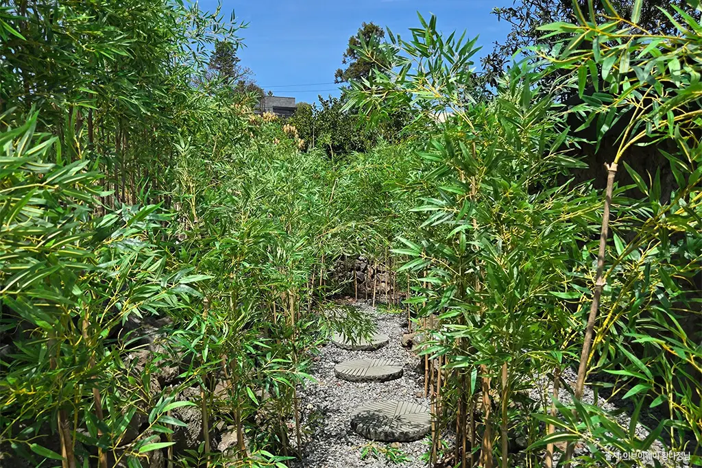 비밀역 포토존