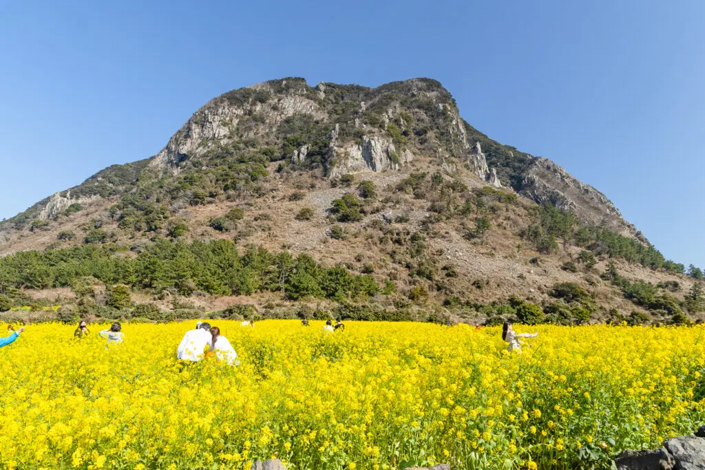 산방산