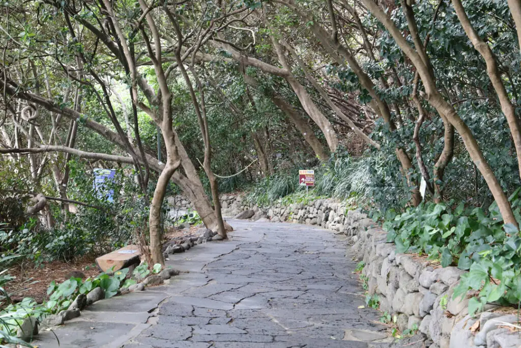 정방폭포 산책로