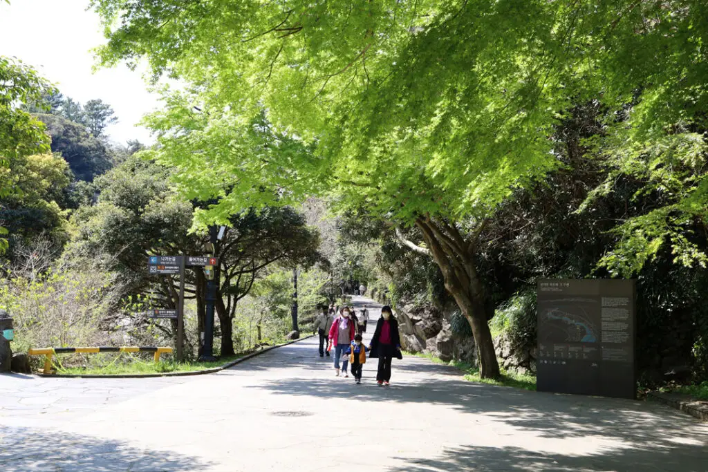 천지연폭포 산책길
