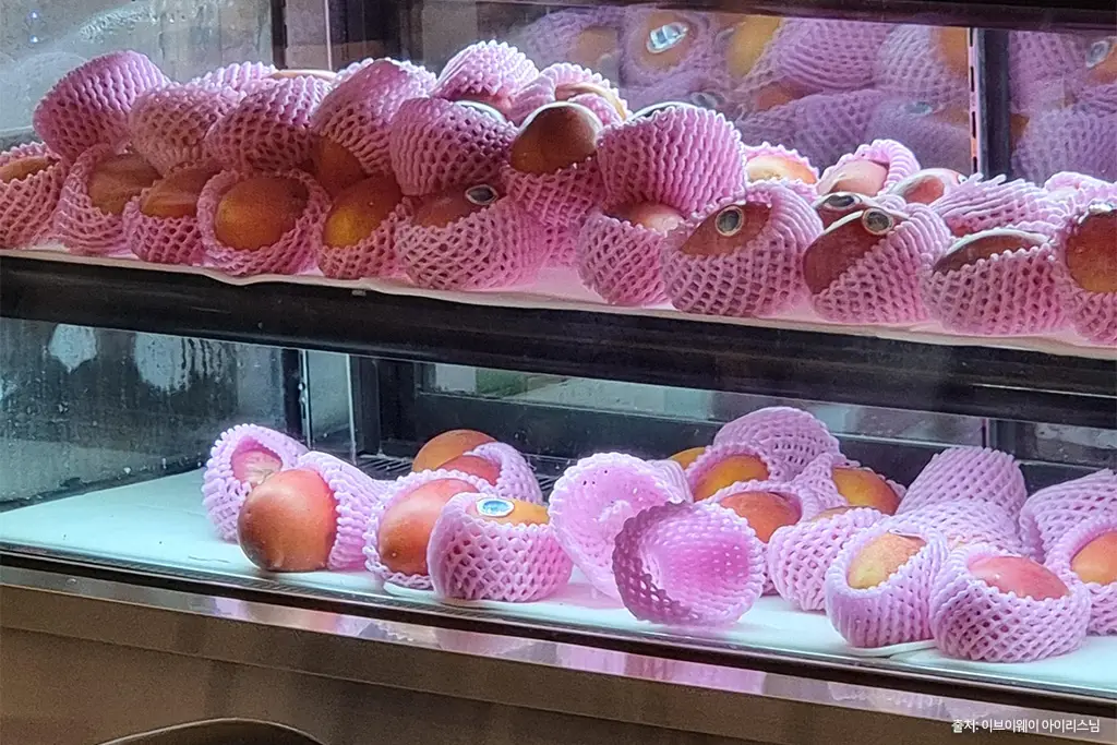 앨리스 과일