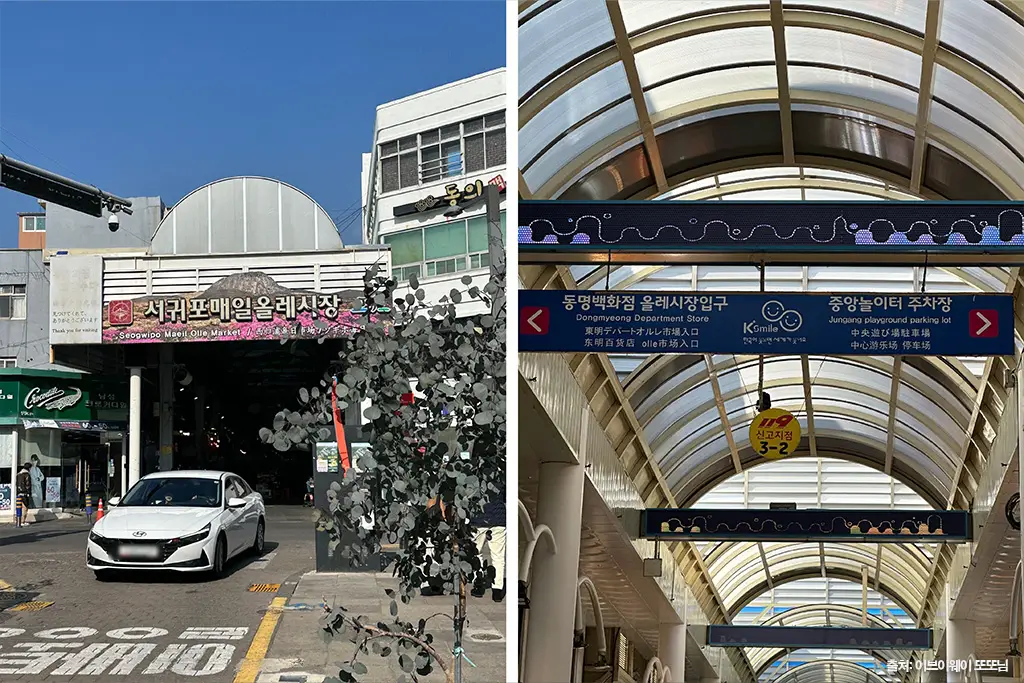 올레시장 야시장