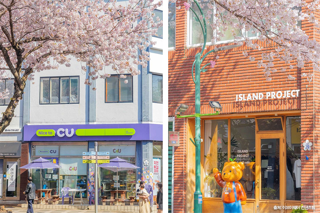 전농로 왕벚꽃 축제