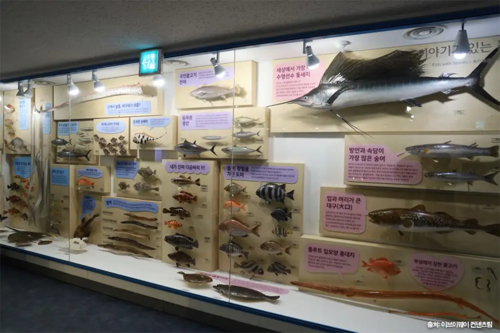 제주민속자연사박물관