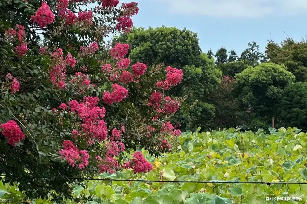 제주 사찰 모음