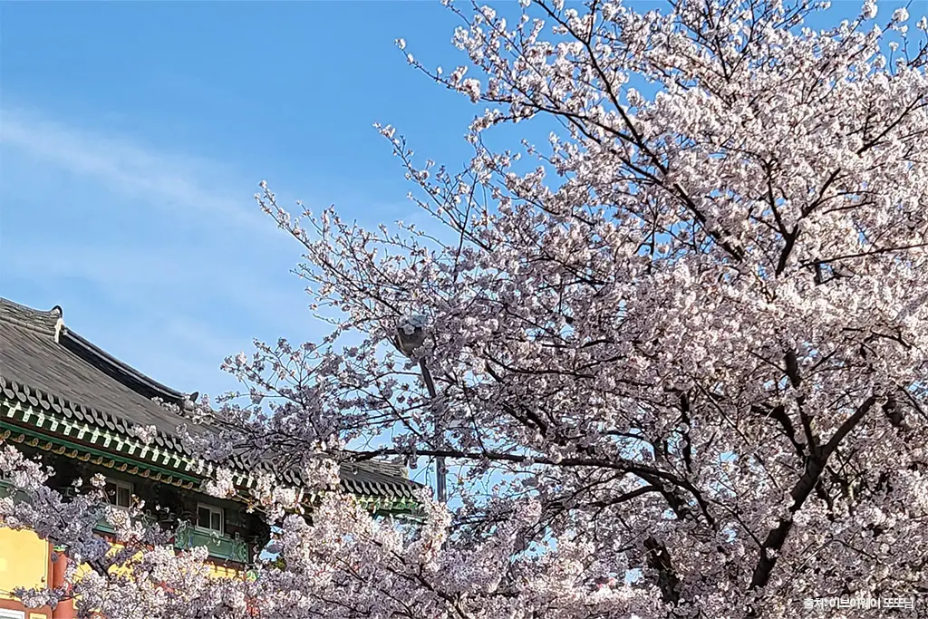 제주 사찰 모음