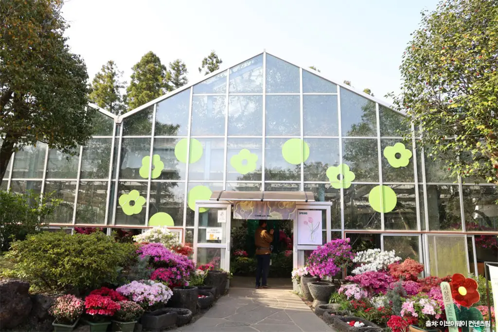 제주 가을 여행