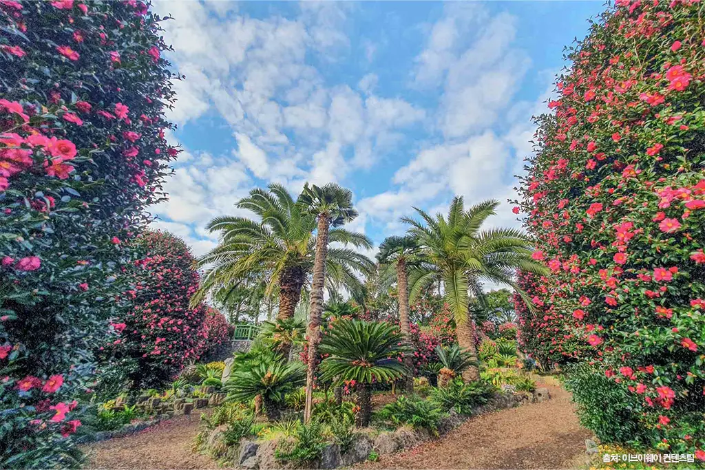 제주동백수목원