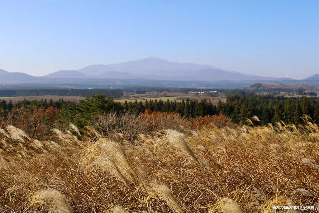 제주 가을 여행