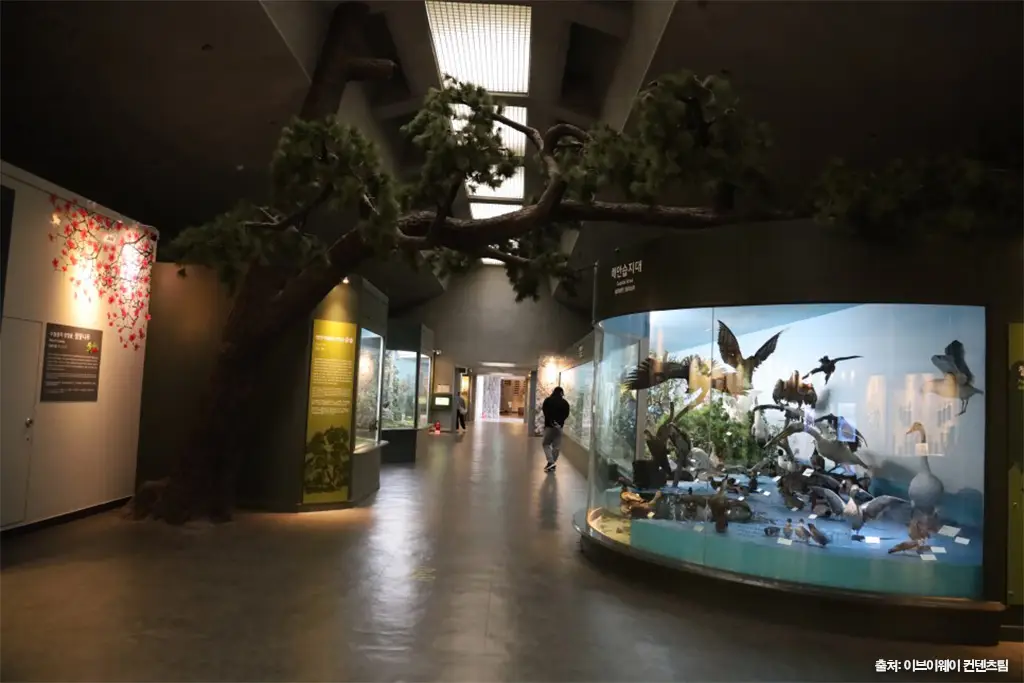 제주민속자연사박물관