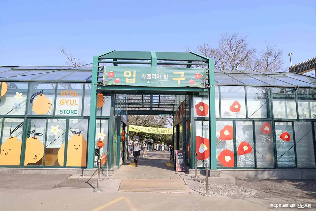 제주 동백 명소