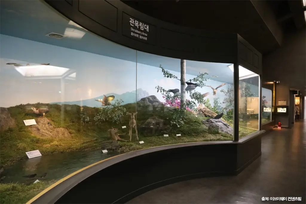 제주민속자연사박물관