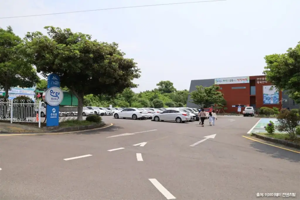 안덕면사무소 수국길