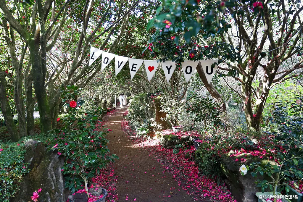 제주 동백 명소