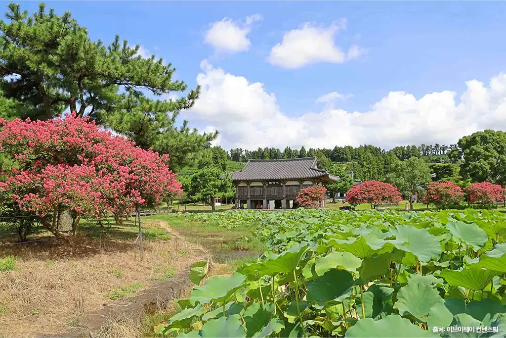 제주 사찰 모음