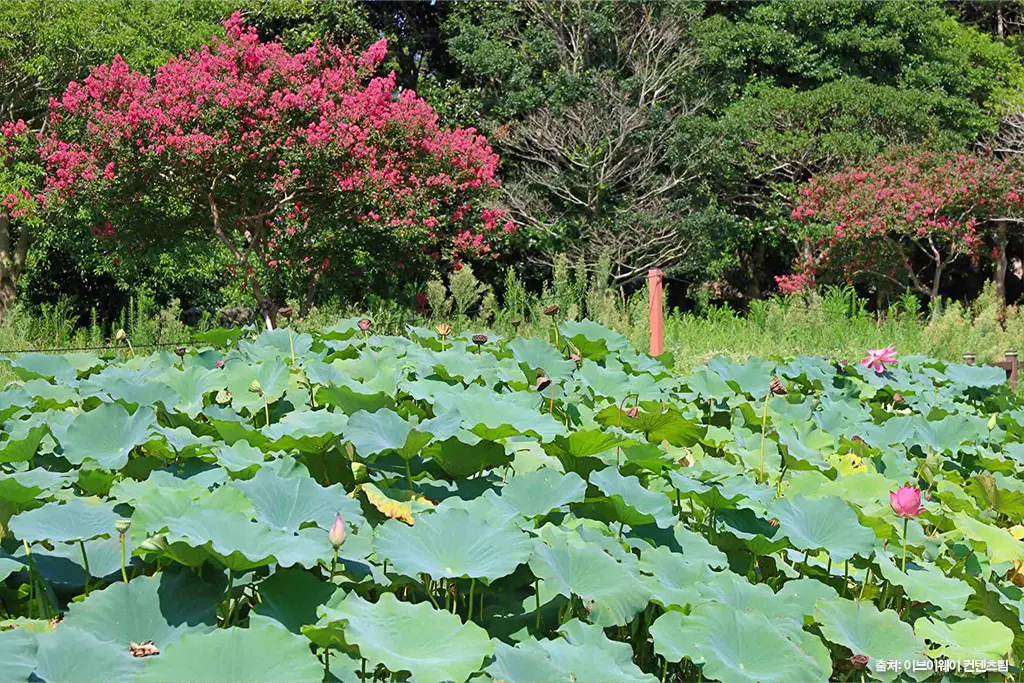 제주 사찰 모음