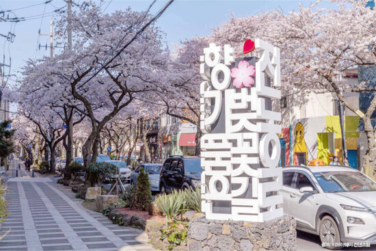 전농로 왕벚꽃 축제