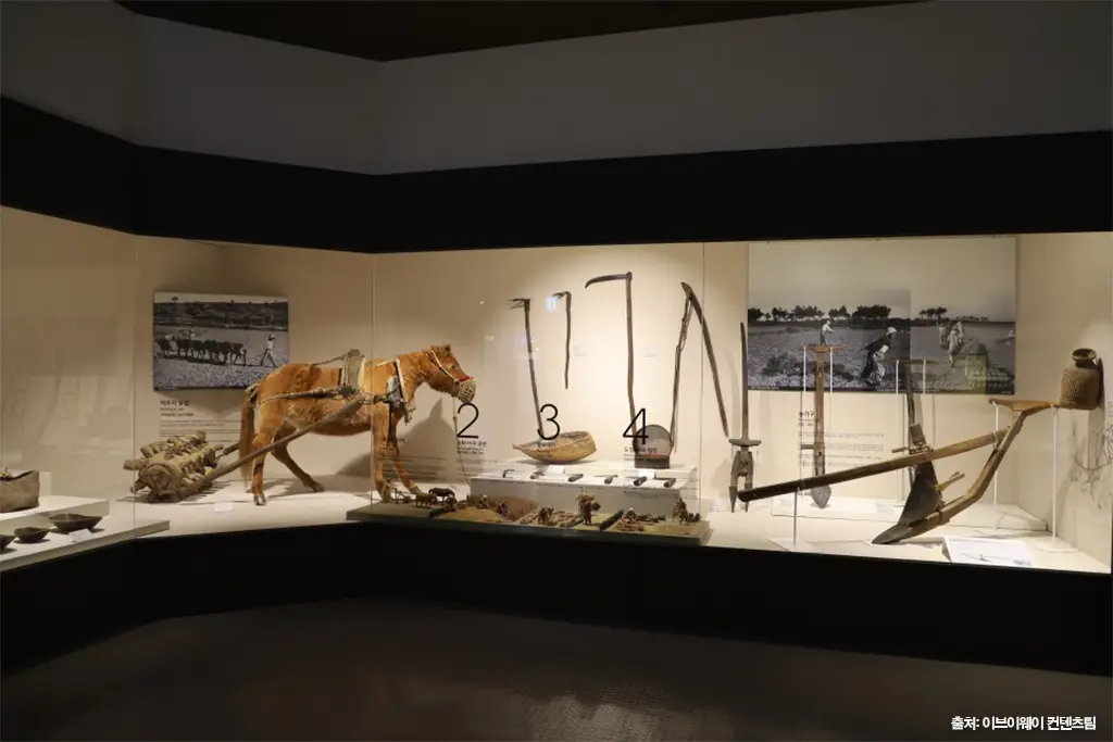 제주민속자연사박물관