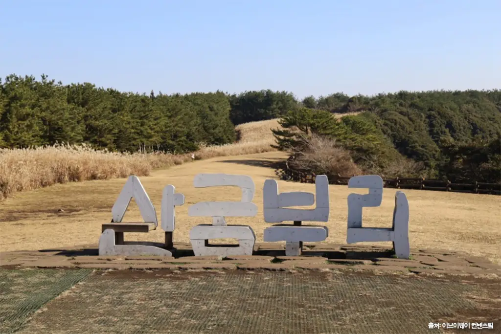 제주 가을 여행