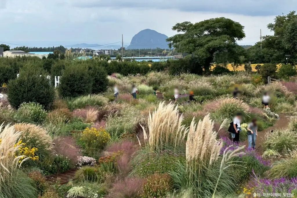제주 가을 여행