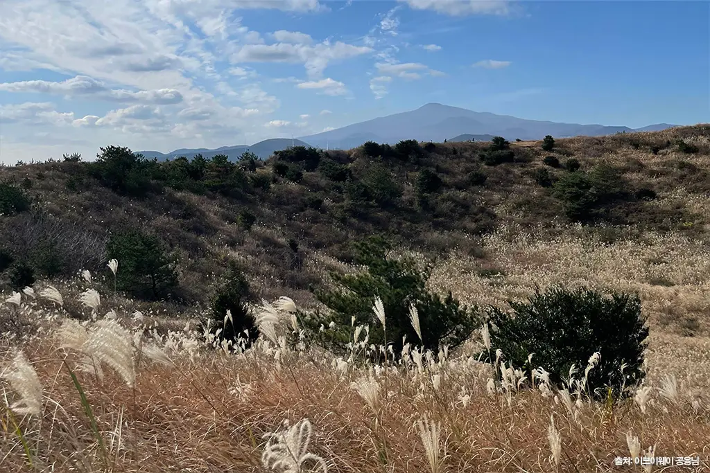 제주 가을 여행