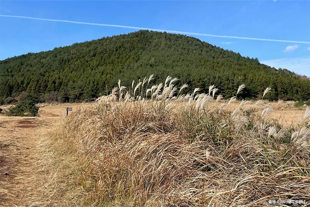 제주 가을 여행