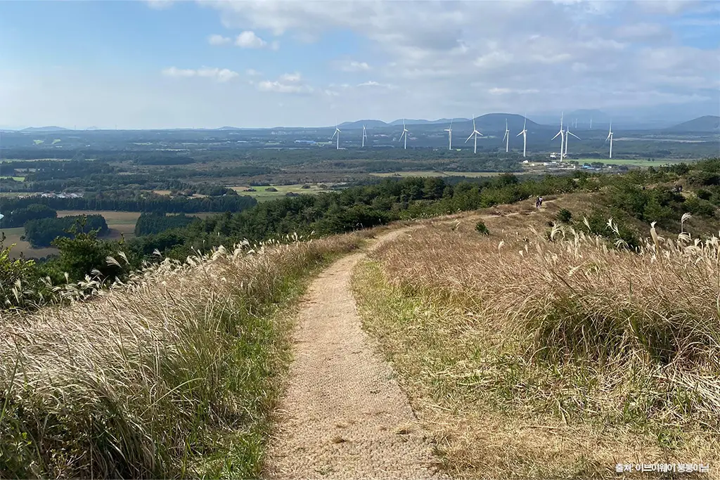 제주 가을 여행