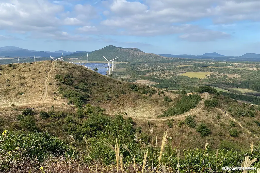 제주 가을 여행