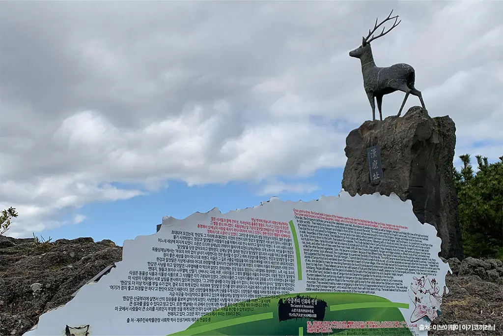 제주 가을 여행
