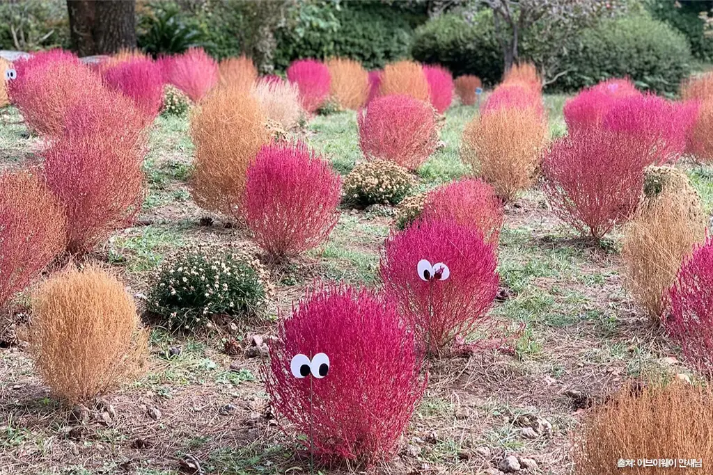 제주 가을 여행