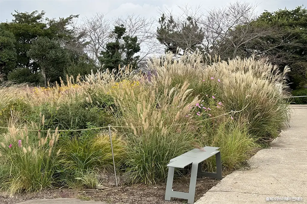 제주 가을 여행