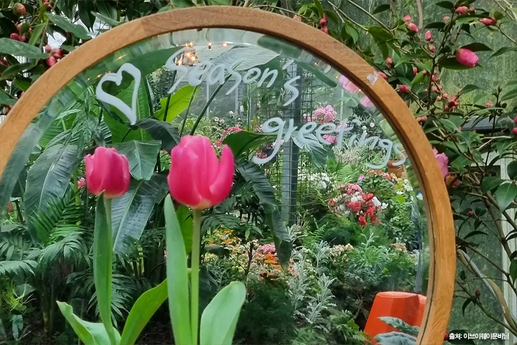 제주 동백 명소